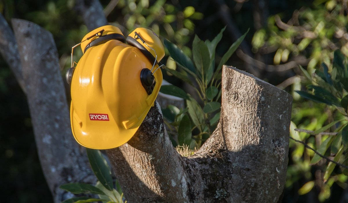 Maintaining a pruning saw for woodland work