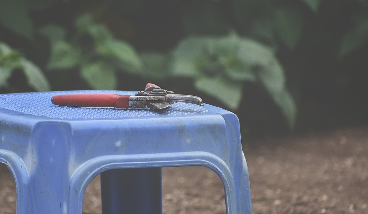 Storing hand tools to prevent rust and damage